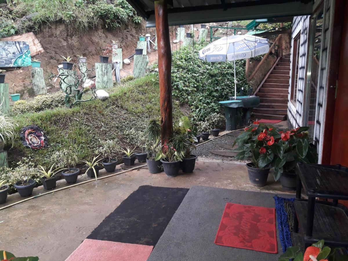 Ohiya Jungle Resort ภายนอก รูปภาพ