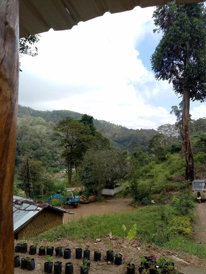 Ohiya Jungle Resort ภายนอก รูปภาพ