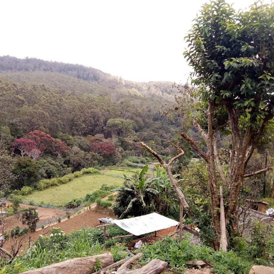Ohiya Jungle Resort ภายนอก รูปภาพ